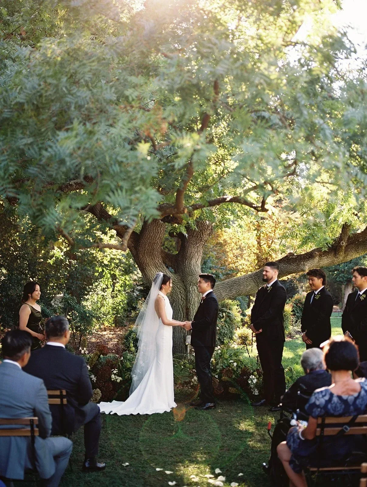 Outdoor wedding ceremony beneath trees at The Maples in Woodland, California