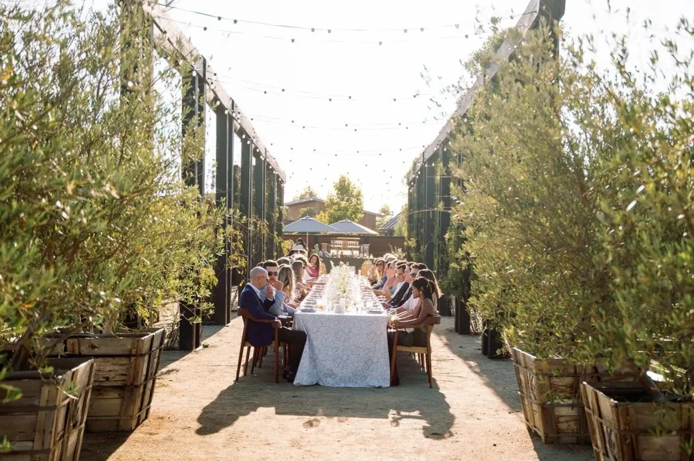 What Does a Wedding in Napa Cost?