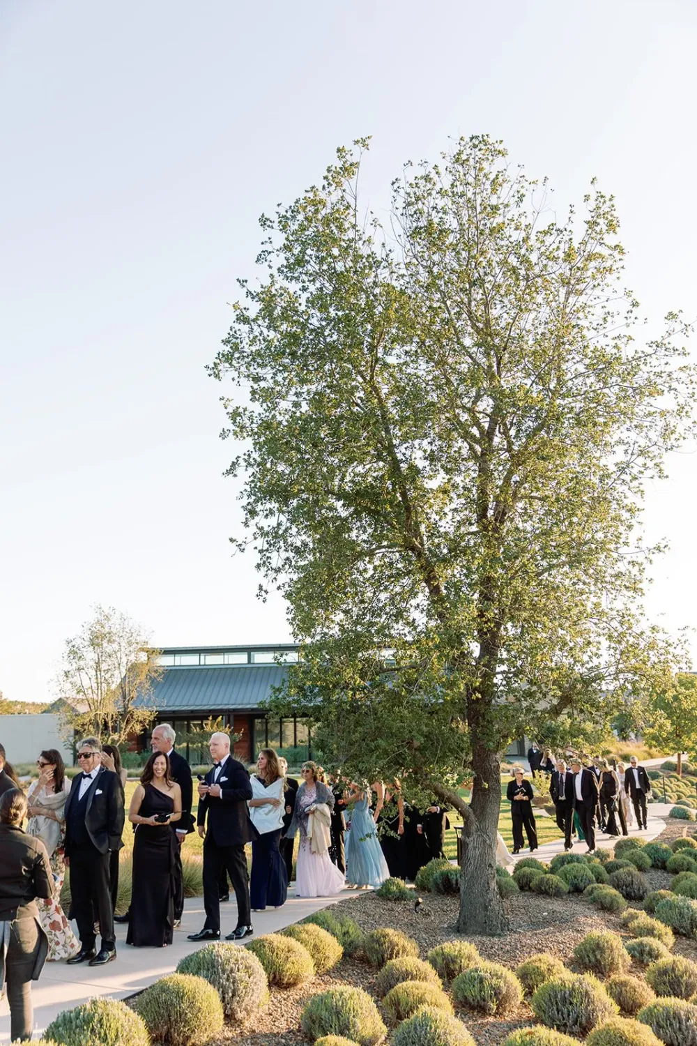 Guests walking to Corinne and Matt’s wedding ceremony