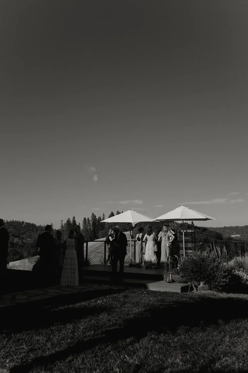 Black Oak Mountain Vineyard Wedding — photograph 17