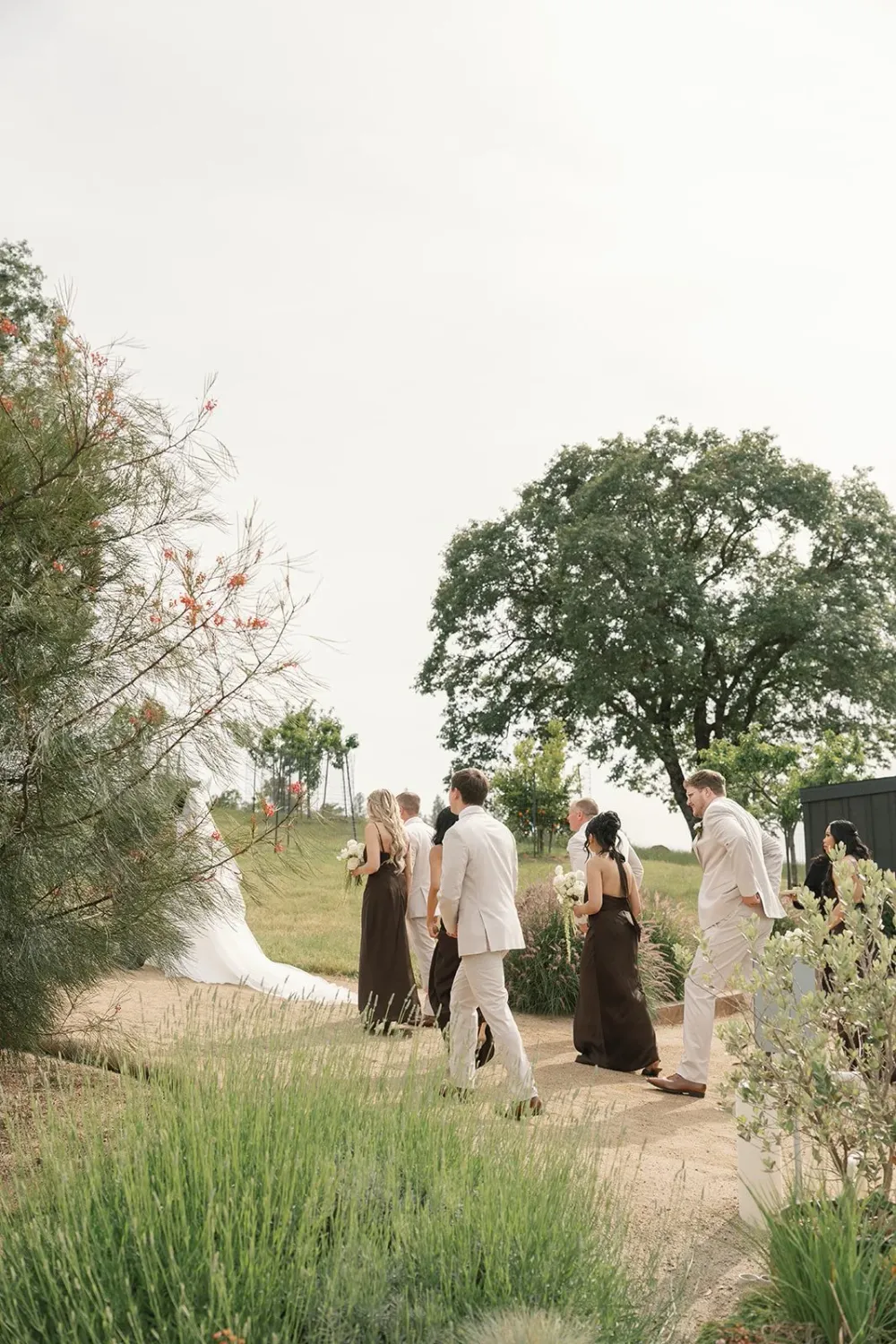 Wedding party walking up the vineyard hillside