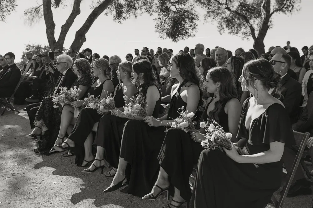 Black Oak Mountain Vineyard Wedding — photograph 10