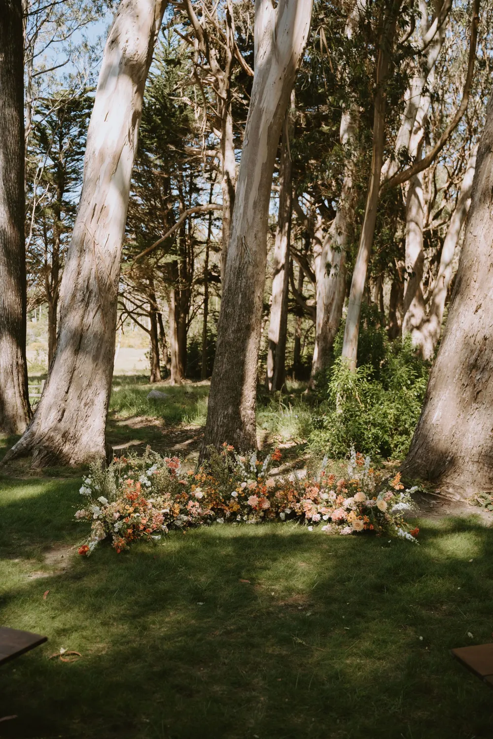 Spring Ranch Wedding in Mendocino, California — photograph 14