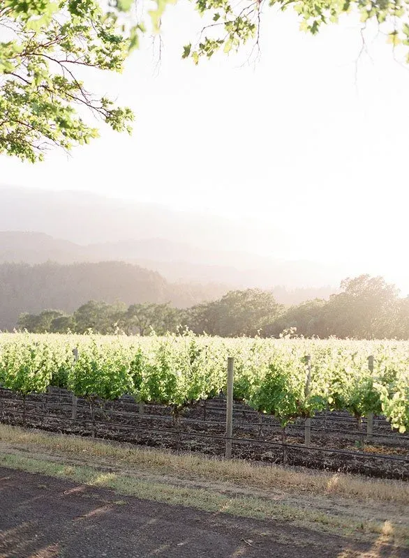 Beaulieu Garden Wedding Venue Tour -  A Hidden Gem in Napa Valley